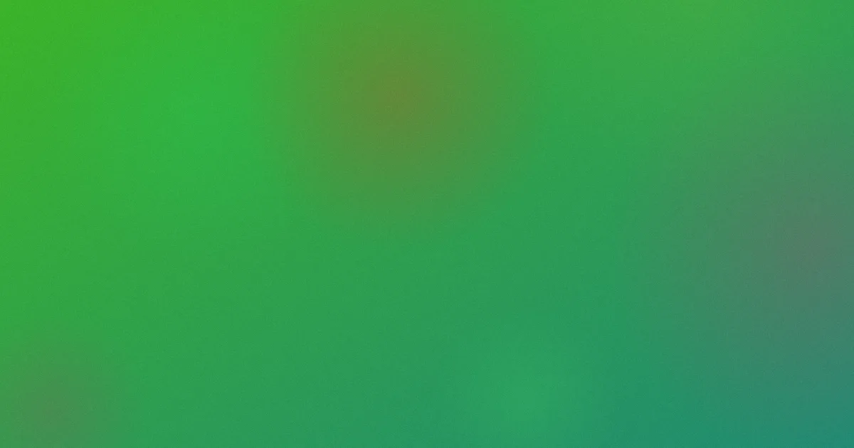 木天鱼怎么用？实测上手